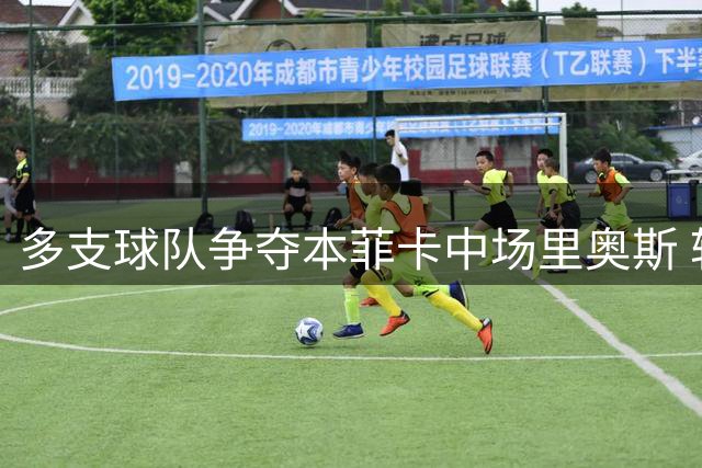 多支球队争夺本菲卡中场里奥斯 转会谈判进入关键阶段