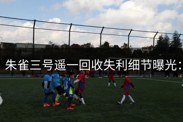 朱雀三号遥一回收失利细节曝光：着陆点火异常致坠毁