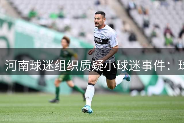河南球迷组织质疑小球迷事件：球衣符号激化矛盾谁之过？