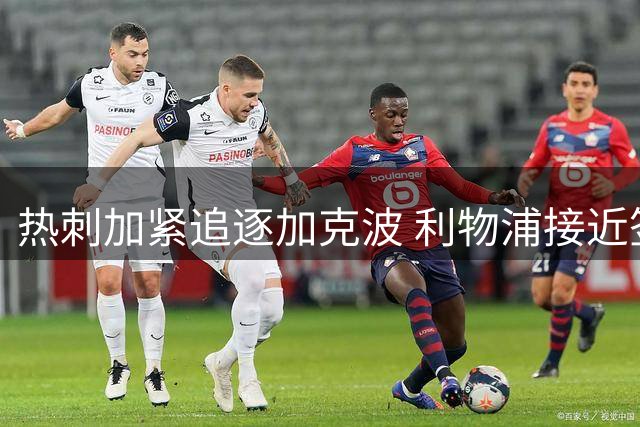 热刺加紧追逐加克波 利物浦接近签下巴尔科拉